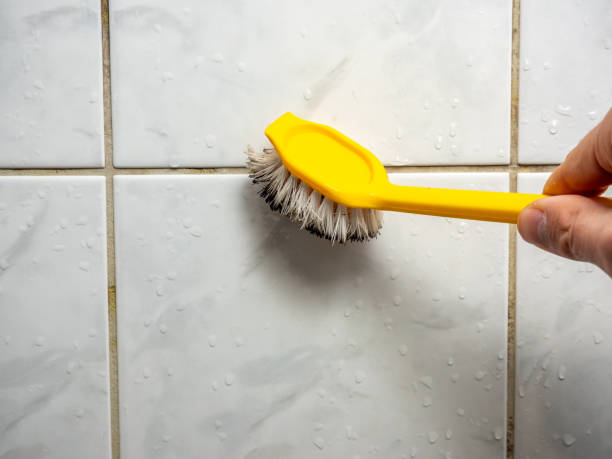 Mold Removal and Inspection in Mcgehee, AR