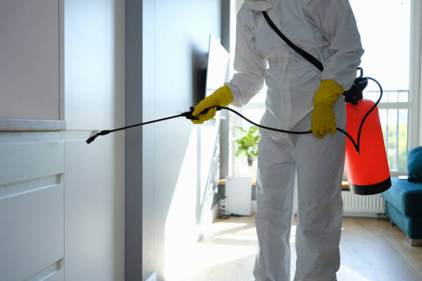 Professional Mold Removal in Mcgehee, AR