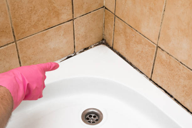 Best Mold Remediation  in Mcgehee, AR